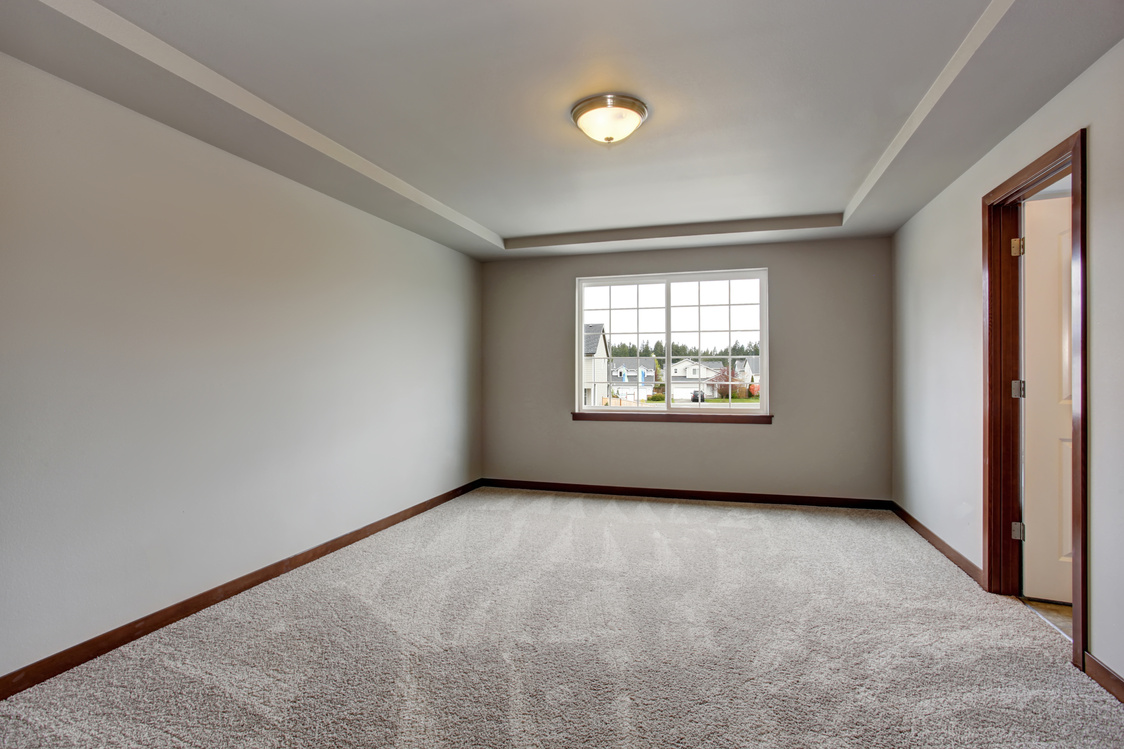 Empty basement room with white walls, carpet floor